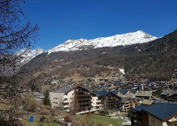 Apartman Zayetta Orange Cube Nr. 11a *